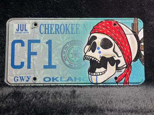 Hand-Painted Skull Cherokee Nation License Plate